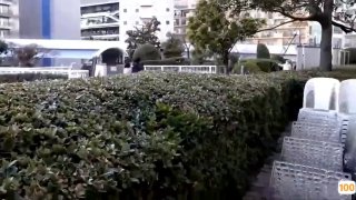 污的网站一区二区
